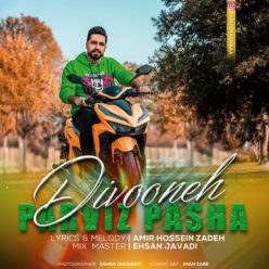 Parviz Pasha – Divooneh